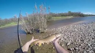 Fly fishing --- Pesca a mosca de barbos con quironomidos (Rio Alberche)