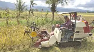 SUPIR KE BINGUNGAN DI LAHAN. SEMPIT BANGET?