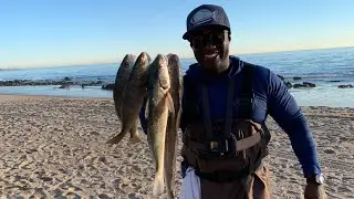 SoCal Surf Fishing: Halibut, Corbina, and Yellowfin Croaker Action!!! (Catch, Clean, Cook)