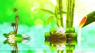 Deep Relaxing Music And Meditation 🌿 Calm Mind, Anxiety Relief & Better Sleep