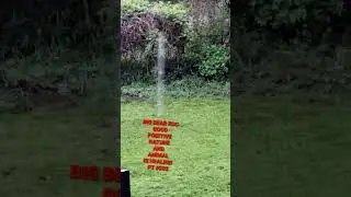 GOOD POSITIVE NATURE AND ANIMAL IS HEALING PT #202