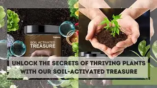Soil Activated Treasure - Soil Activator, Ideal as Potting Soil or Seedling Compost