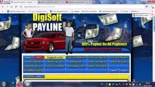 Digisoft Подробно что за бизнес Digisoft Payliner