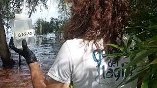 Enterococchi ed escherichia coli nel Garda: la goletta dei laghi evidenzia criticit&agrave; nel bresciano