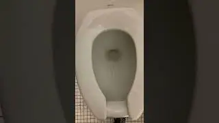 (69) EVEN THE GUY OUTSIDE GAGGED! Weak Kohler Krapstain toilet at UW Madison (same-day upload)