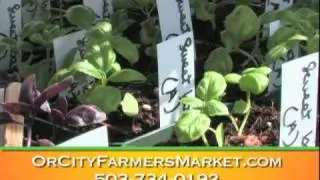 Oregon City Farmer's Market