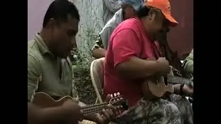 Lark Camp 2008: Hawaiian Music - 