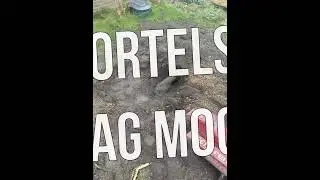 Een douglas overkapping bouwen in een l vorm
