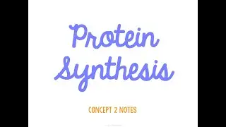 Unit 4 Genetics Concept 2 Notes *UPDATED*