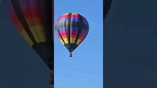 Hot air balloons flying over our house #newmexico #balloonfiesta #2024 #hotairballoon