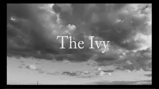 The Ivy -  SHE - 