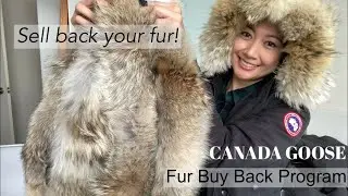 Canada Goose New Fur Buy Back program