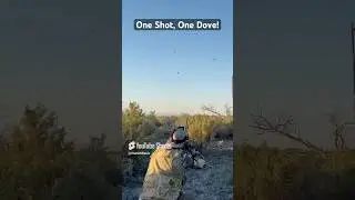Dropped That Dove! | Epic Dove Hunt Shot! #shorts