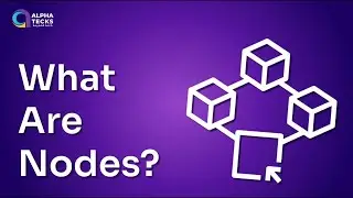 What Are Nodes