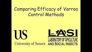Comparing Efficacy of Varroa Control Methods