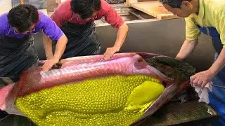 The Most Fascinating Salmon Egg Harvesting Skills I've Ever Seen   Catching ,Fertilized Salmon Eggs