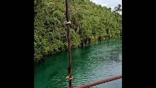 Melihat Keindahan Danau Uter, Maybrat, yang Dikelilingi Bukit Kapur