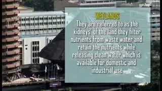 WRMA WATER DOCUMENTARY (OFFICIAL VIDEO)