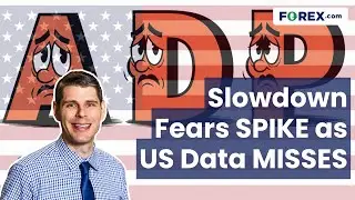 ADP, Retail Sales, & PPI All Miss = US Economic Slowdown? | Daily Market Update, November 25 2025