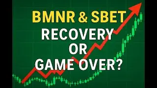 BMNR & SBET: Recovery Ahead or Game Over?
