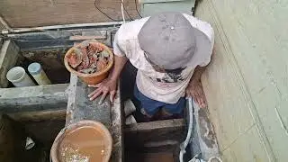 Walaupun kolam ini  kecil tapi banyak ikan hiasnya ikan koi koki lele albino binatang peliharaan 