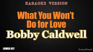 What You Won’t Do for Love - Bobby Caldwell (Lower Key - Karaoke Version)