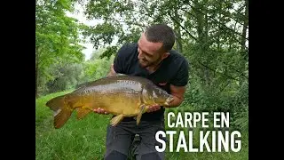 P&ecirc;che rapide de la carpe / Stalking &agrave; vue