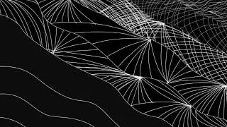 Black & White lines | Lines Art #digitalart #graphics #drawing