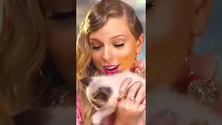 How Taylor Swift Adopted A Cat 🐈