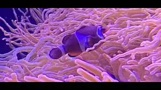 bounce out with that x blind spots [slowed]