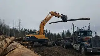 Excavator loading log truck