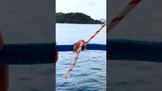 The Ultimate Hammock Hack: How to Tie the Perfect Sheet Bend #knots