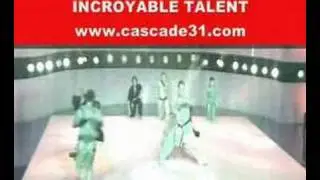TEAM C.A.S.C.A.D.E.31