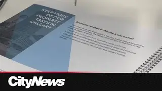 The Calgary Party launches election campaign