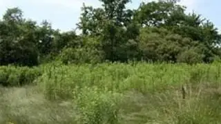 Real estate for sale in Oregon Twp Michigan - MLS# 214037878