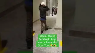 Masuk Ruang Pendingin || Cold Storage Room #shortvideo #travelling #workhard