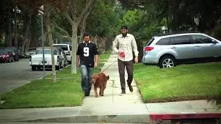 Verizon - #FOMOF Dog Walk