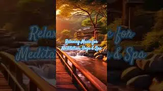 Background Zen Music | Morning Meditation #bgmi