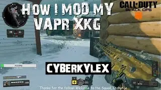 How to mod VAPR   COD BO4