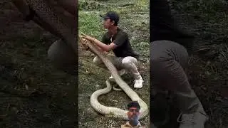 #kobrabhai