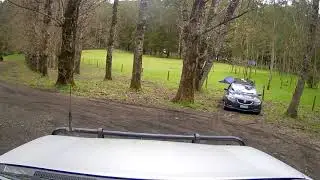 Dandos Campground - Otway Forest Park - Victoria