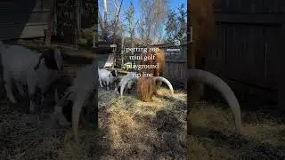7 Acre Wood Farm in Conroe, TX