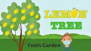 LEMON TREE Animation with Lyrics