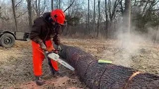 Stihl ms250 режет желтой супер-долотовой цепью!