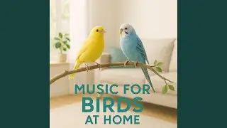 Gentle Guitar Sounds &ndash; Calming Music for Birds at Home