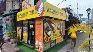 Costa Rica&rsquo;s La Mona Golosa Organic Chocolate Farm Tour