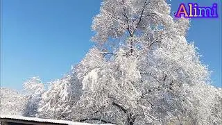 Snowfall in poonch |Abdul Rehman Alimi