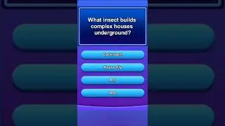 Can you guess 😜.What insect builds complex houses underground.#mindbendingquiz