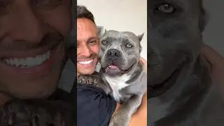 Eu Cresci &hearts;️ #americanbully