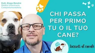 Chi passa per primo tu o il tuo cane?